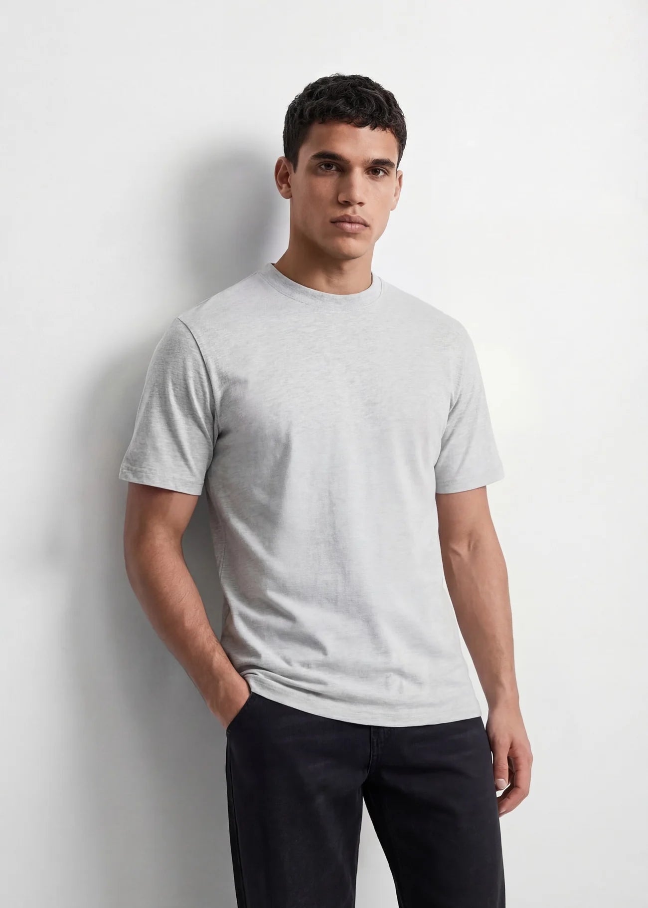 Ash Grey Regular Fit T-Shirt