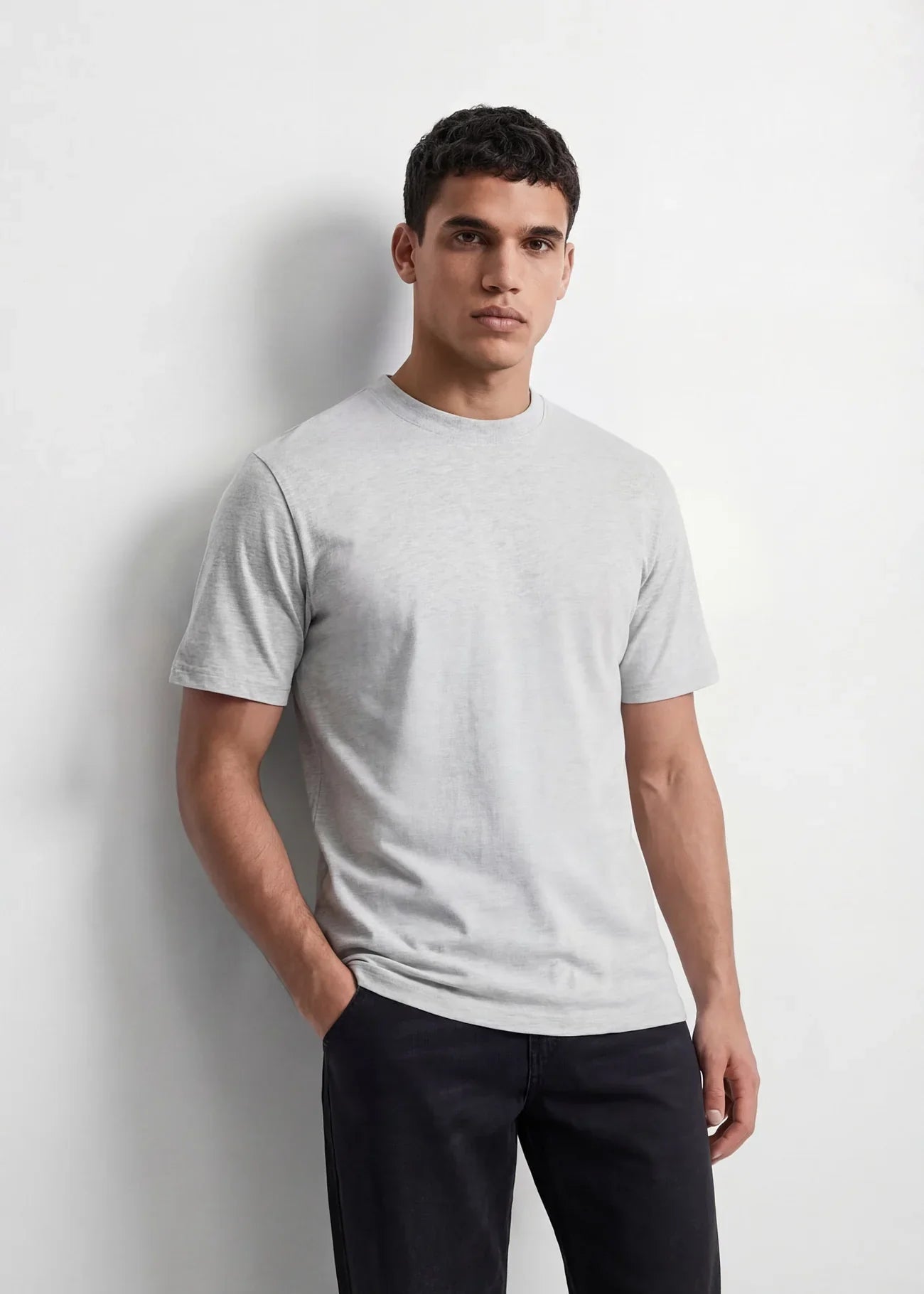 Ash Grey Regular Fit T-Shirt