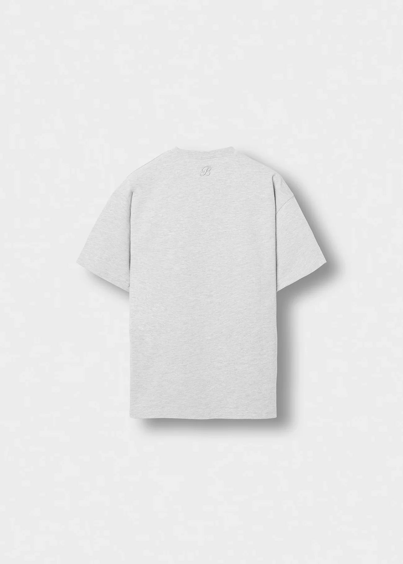 Ash Grey Regular Fit T-Shirt